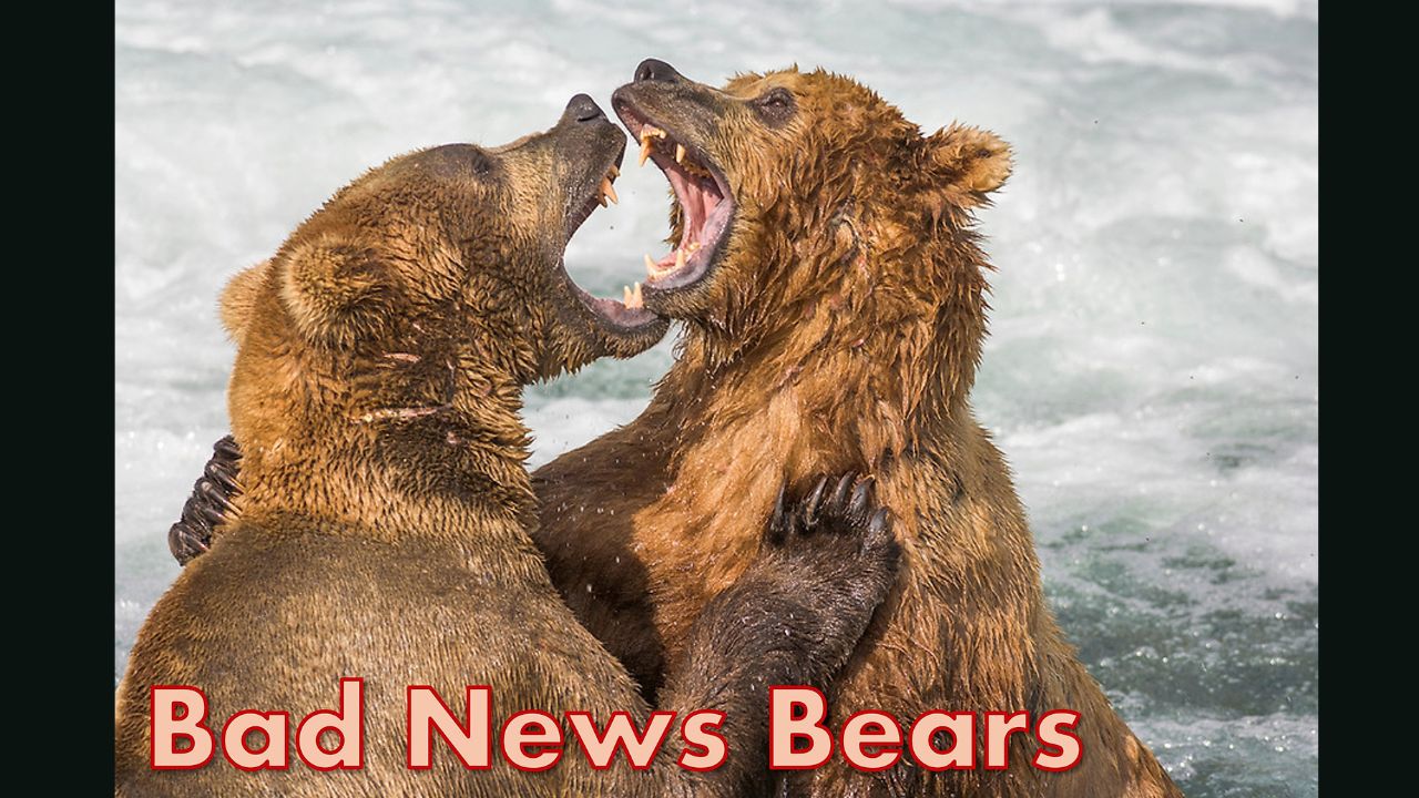 Two bears fighting like bad new bears